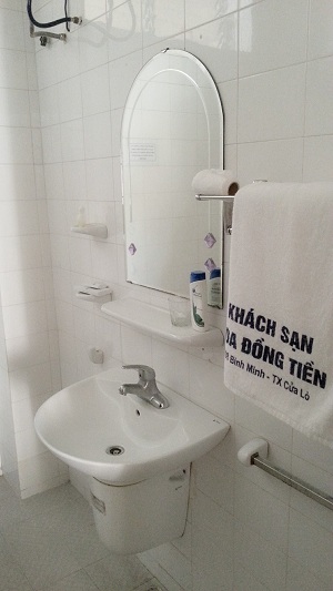 hoadongtien12.jpg