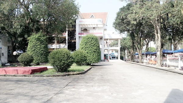 hoadongtien6.jpg